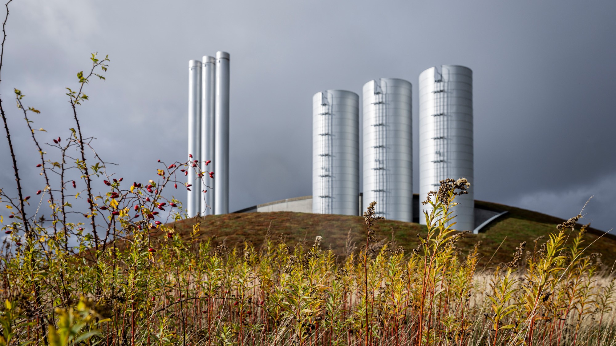 Billede af CTR's anlæg. Bæredygtigt industribyggeri med grønt tag og glasfacade.