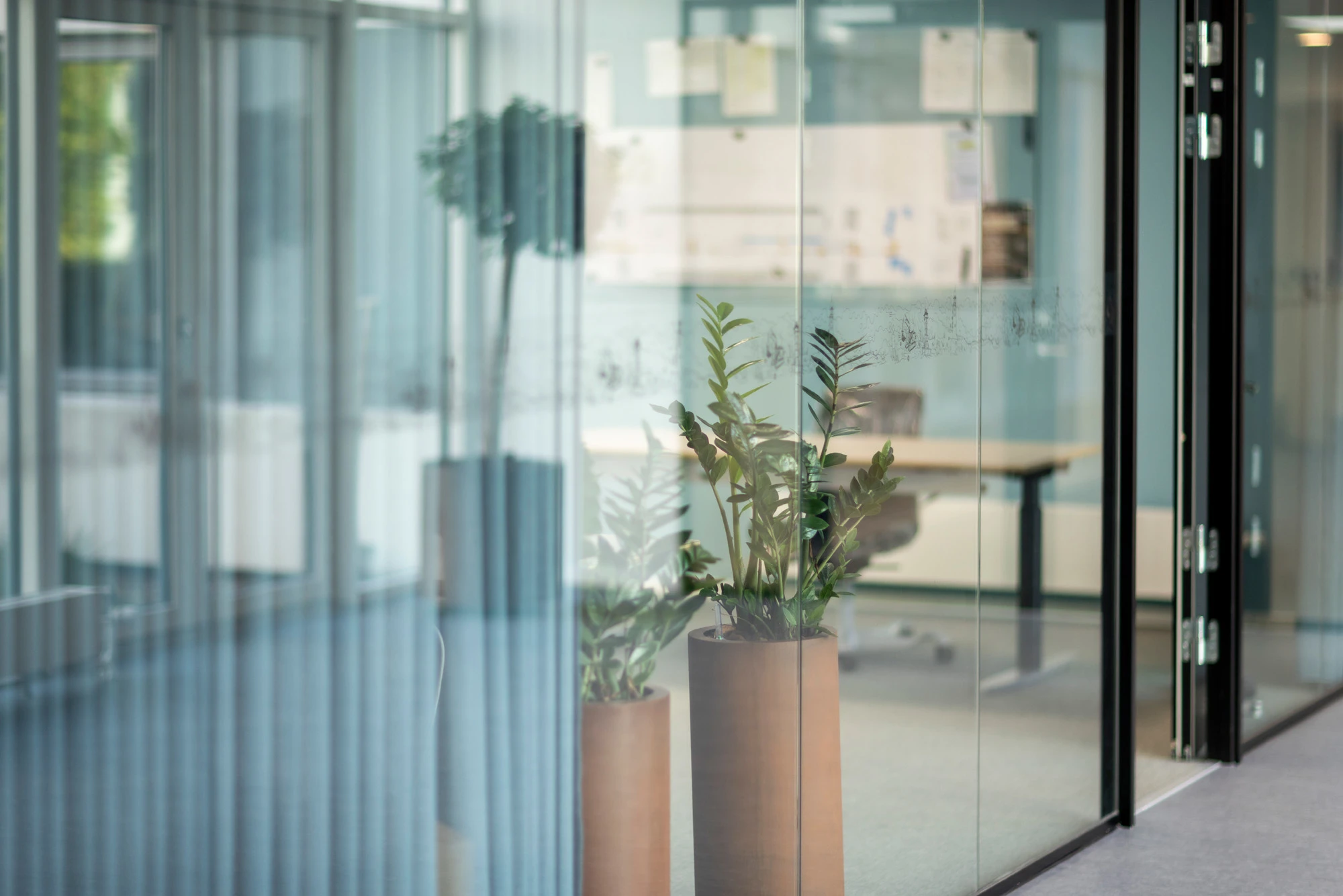 Billede af glasvæg og planter